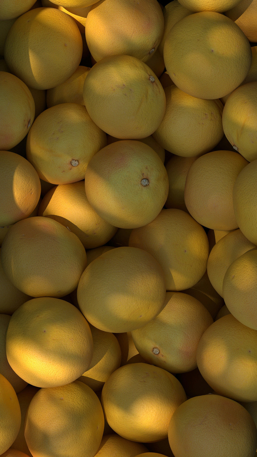 Autumn Citrus Hand-poured 12 oz scented candle