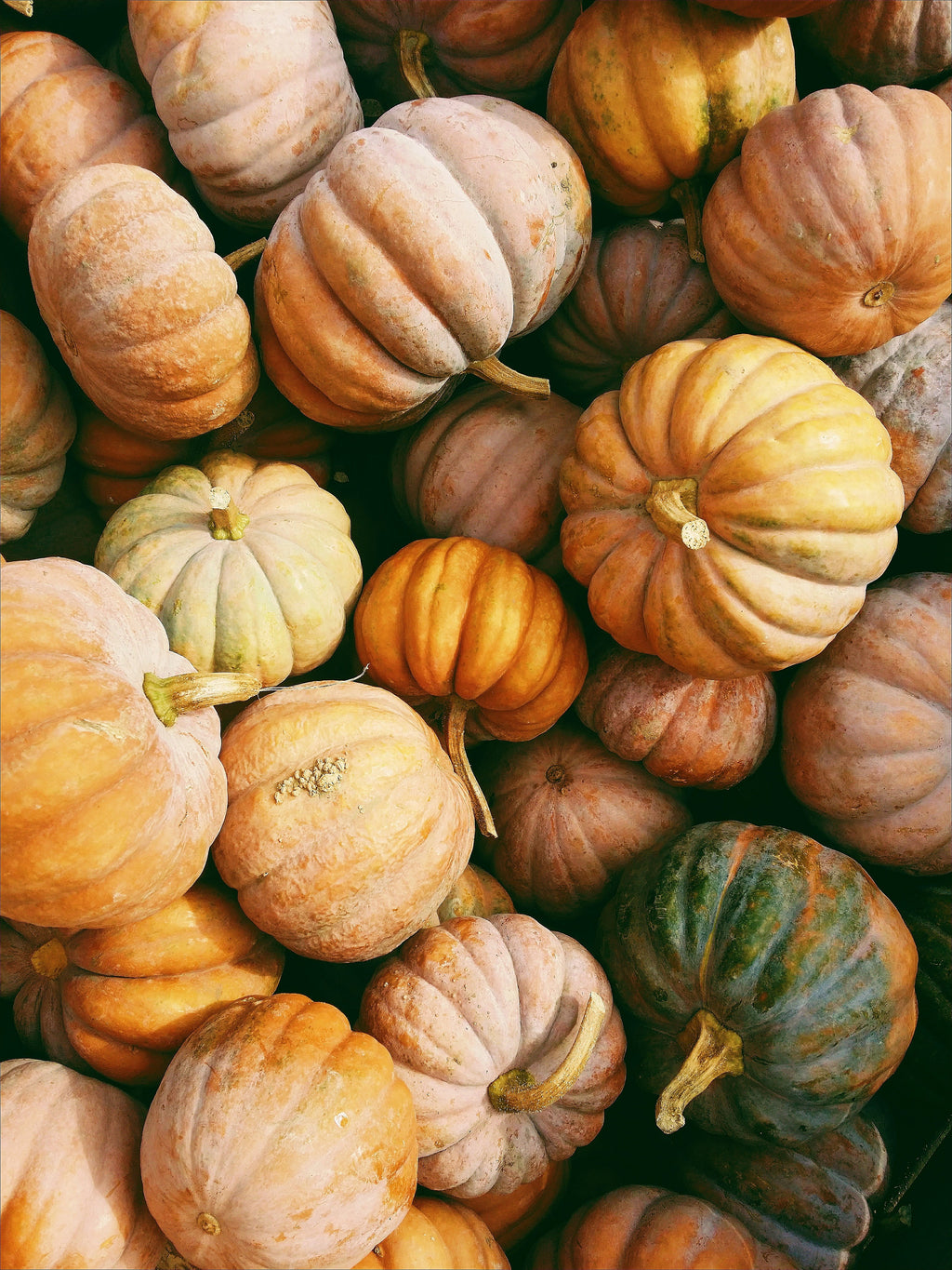 Pumpkin Patch Hand-poured 12 oz scented candle