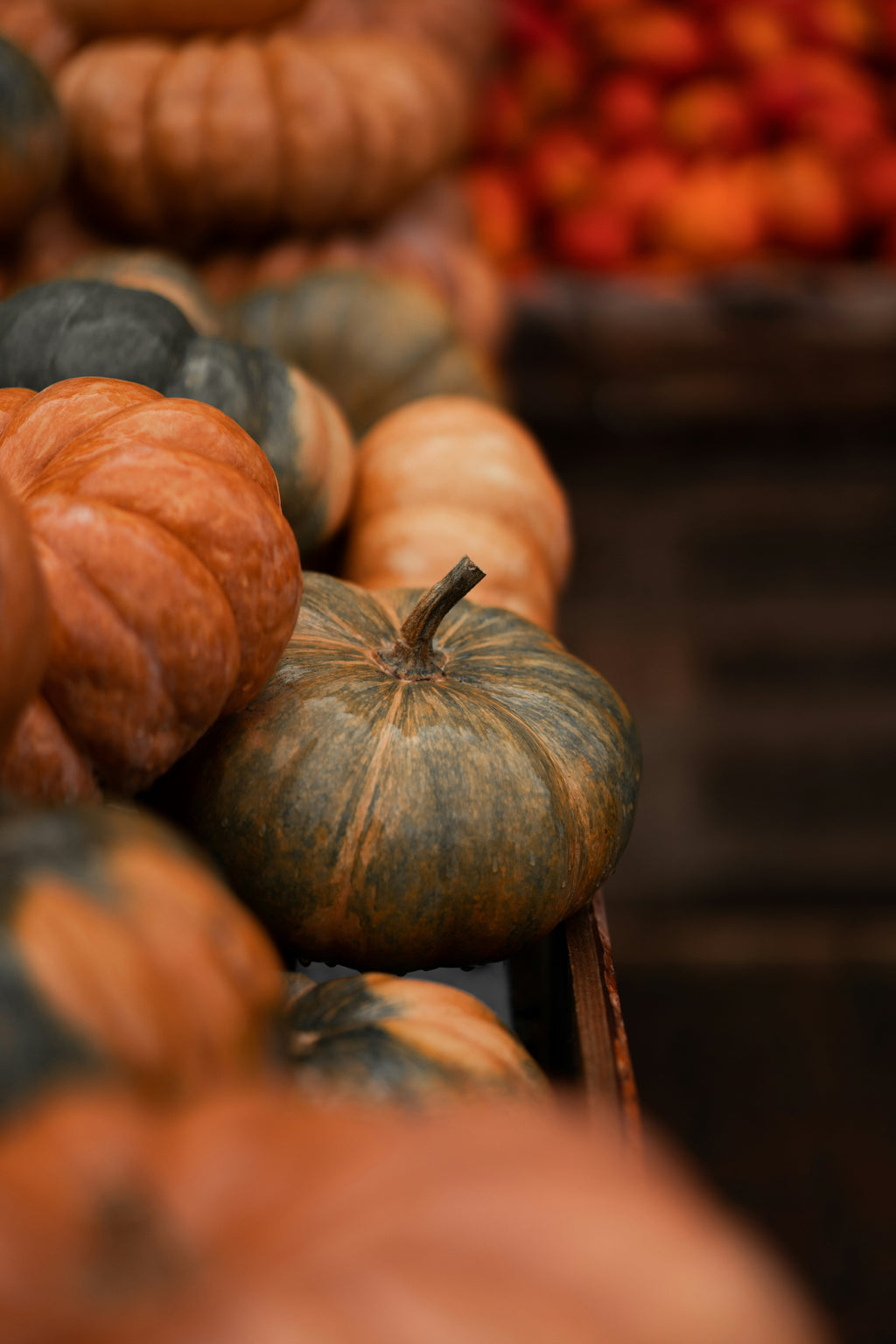 Cinnamon Pumpkin Hand-poured 12 oz scented candle